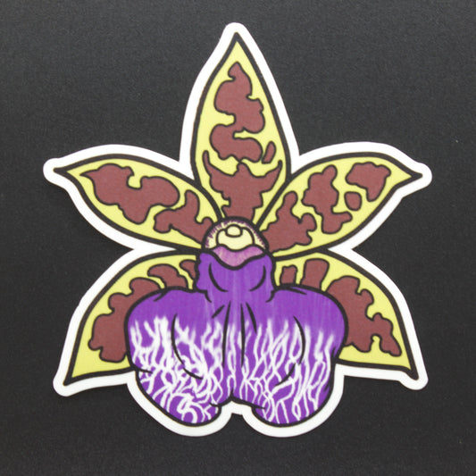 Leopard Orchid Sticker