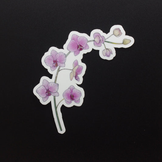 Orchids Sticker