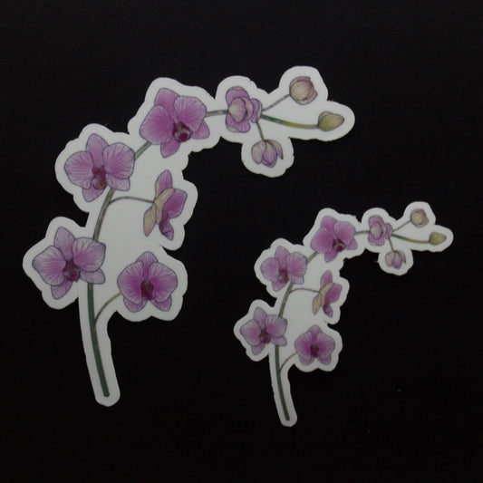 Orchids Sticker