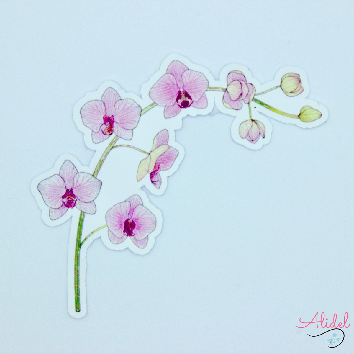 Orchid Sticker Orchids Sticker – Alidel Design